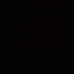 Meet your Posher, Travis